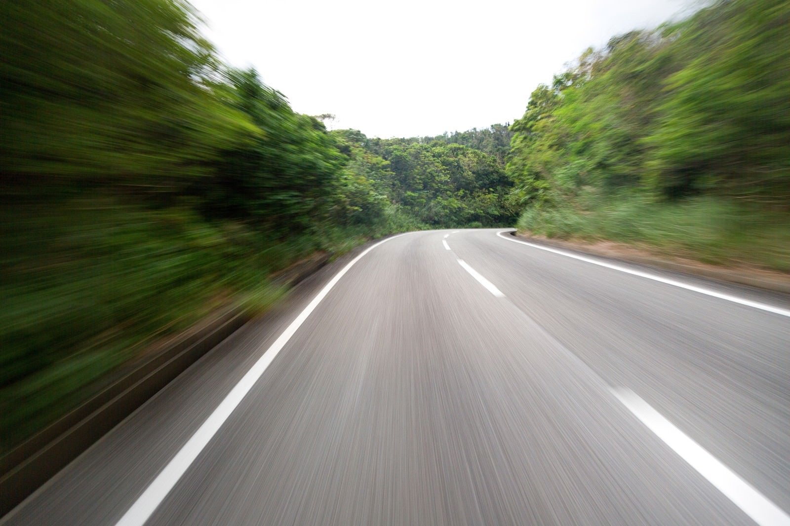「スピード感のある道路（森）」の写真