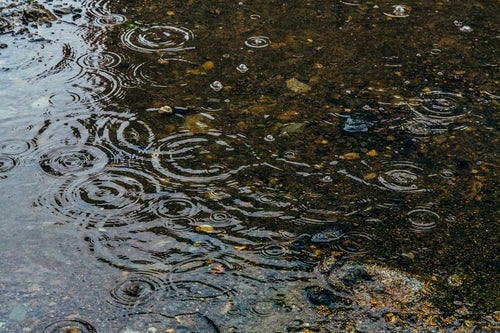雨の日の水たまりの写真