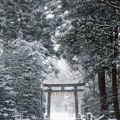 積雪の鹽竈神社の写真