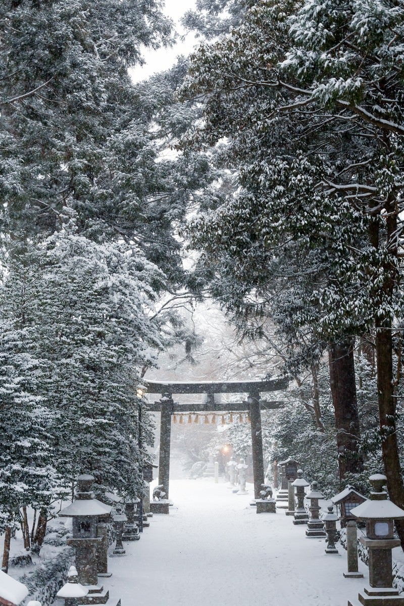 積雪の鹽竈神社の写真