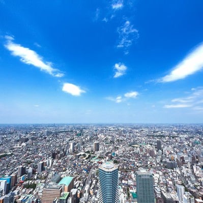 展望台からの東京都会の街並みと青空、高層ビル群の俯瞰風景の写真