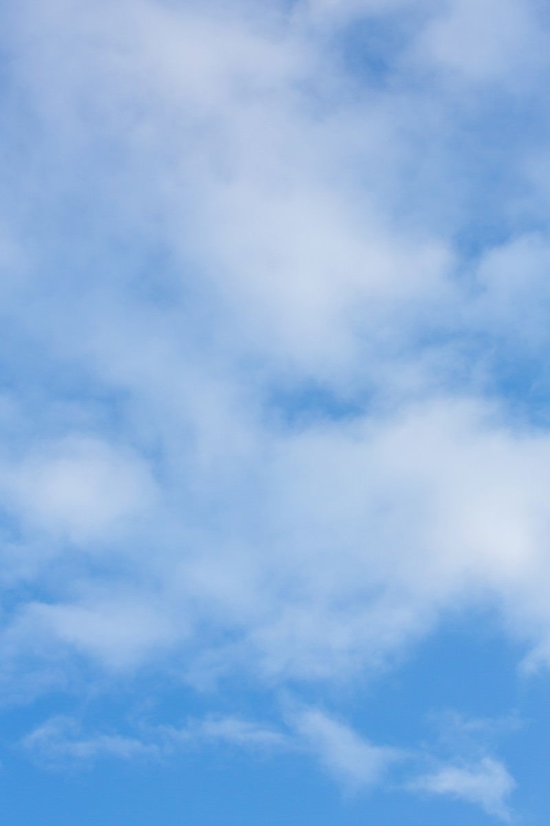 「うすい雲」の写真