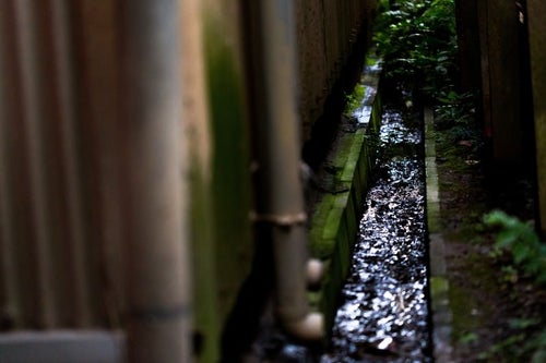 工場横の排水溝の写真