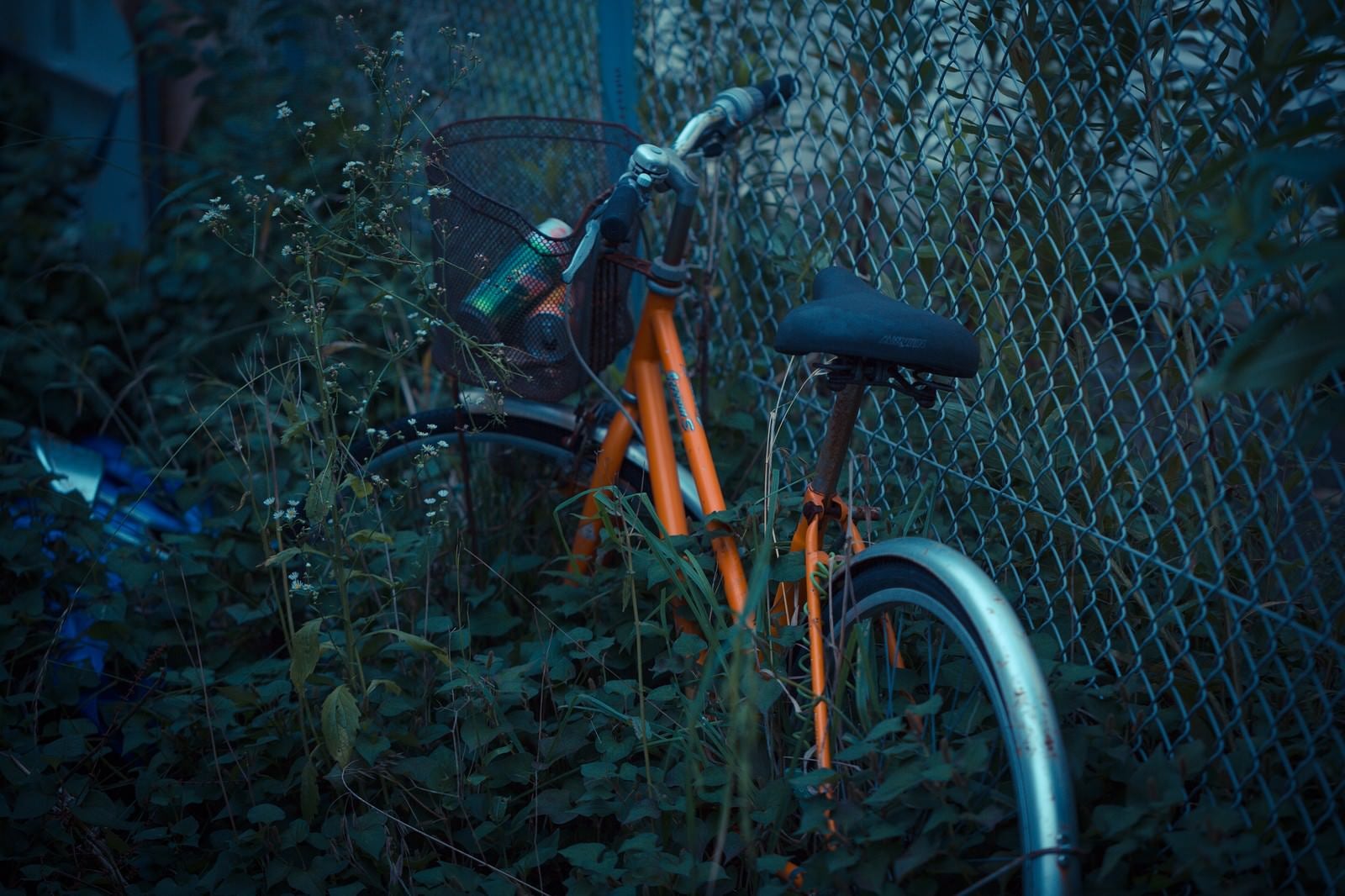 「置き捨てられた自転車」の写真
