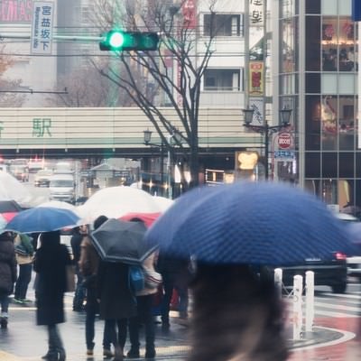 雨の渋谷駅の写真