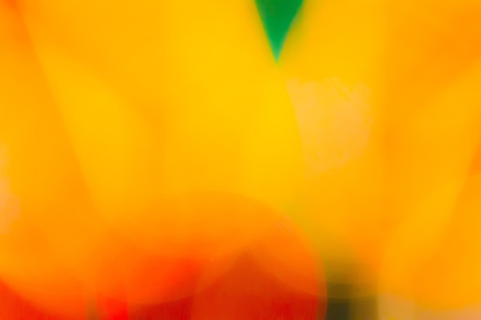 「淡いオレンジ」の写真