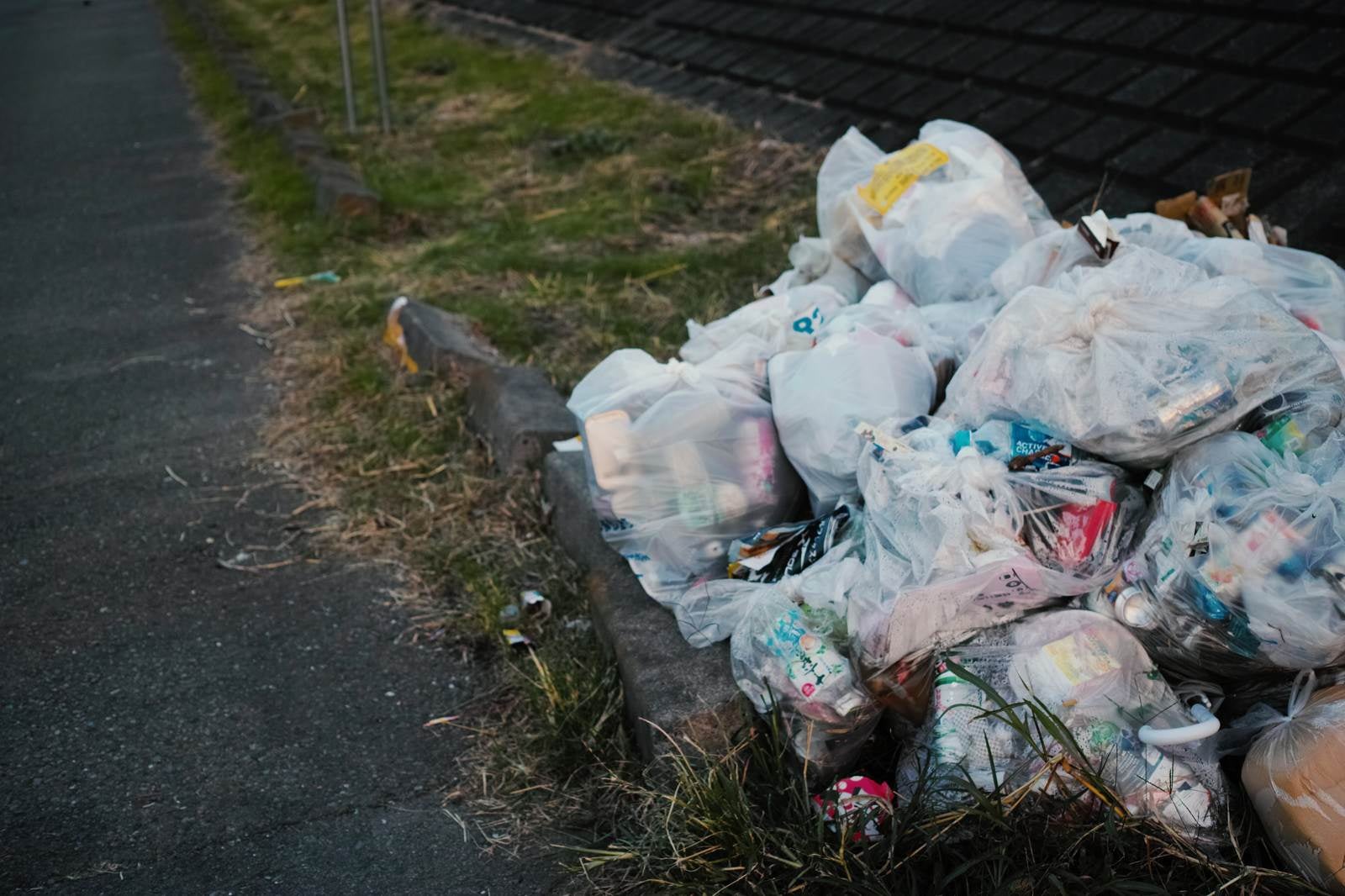 「河川敷に不法投棄されたゴミ」の写真