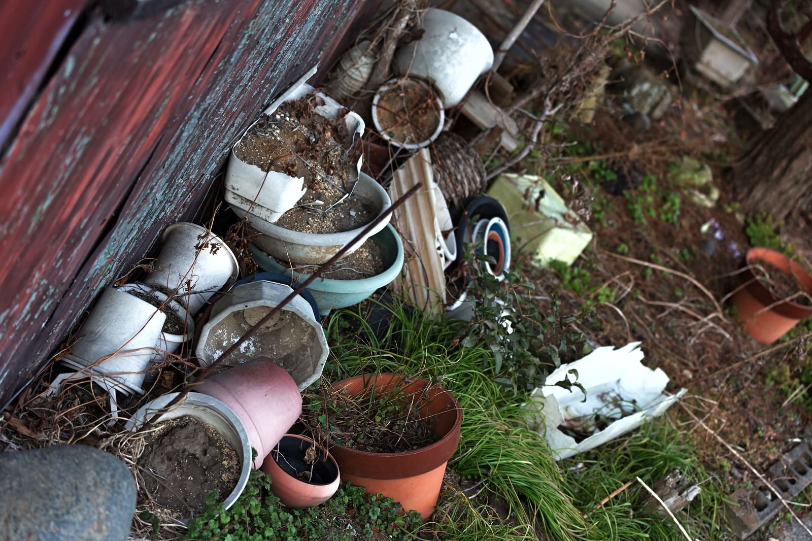 「割れた庭先の花瓶」の写真