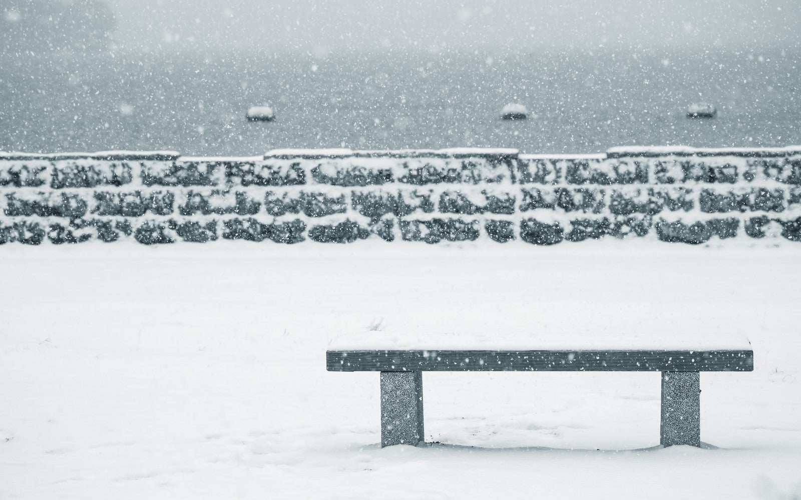 「雪が積もったベンチ」の写真