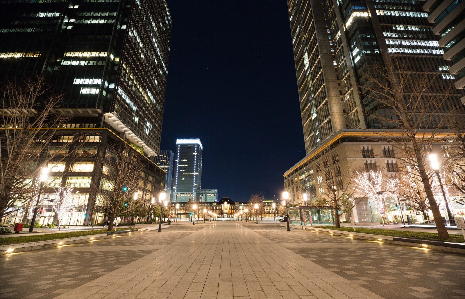 「東京駅丸の内正面通りからの夜景」の写真