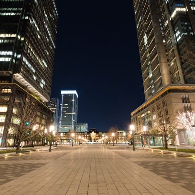 東京駅丸の内正面通りからの夜景の写真