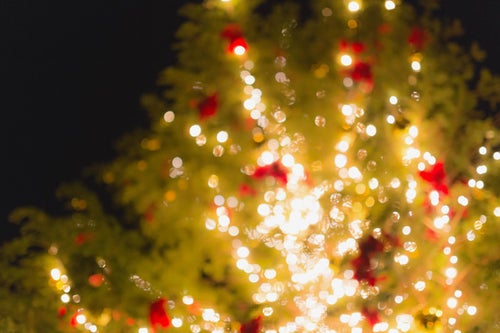 点灯をはじめたクリスマスツリーの写真