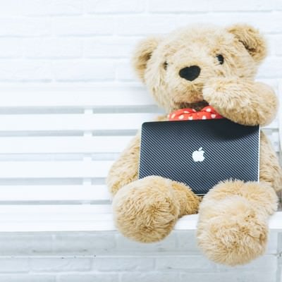 ぬいぐるみ界のトップエンジニア、ノートパソコンで休憩中の写真