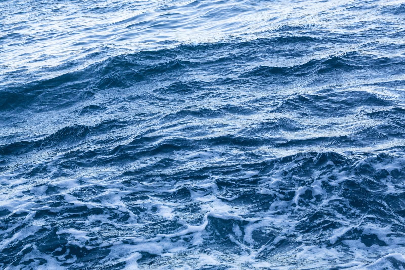 「船からの海上」の写真