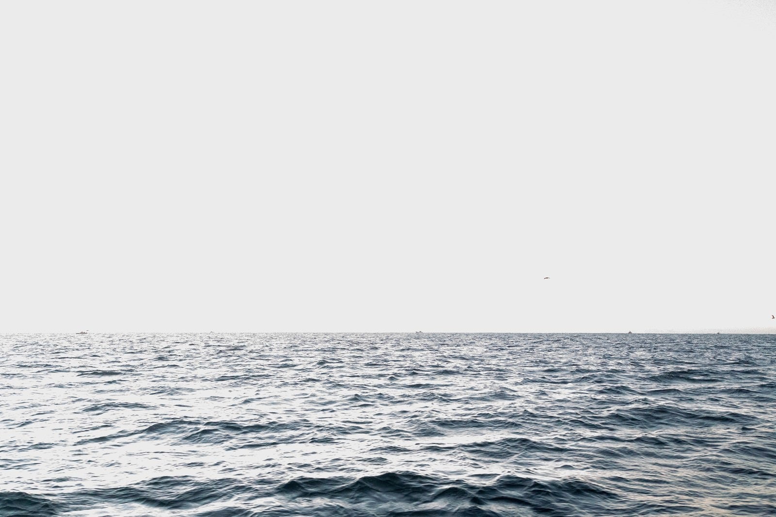 「沖合の海」の写真