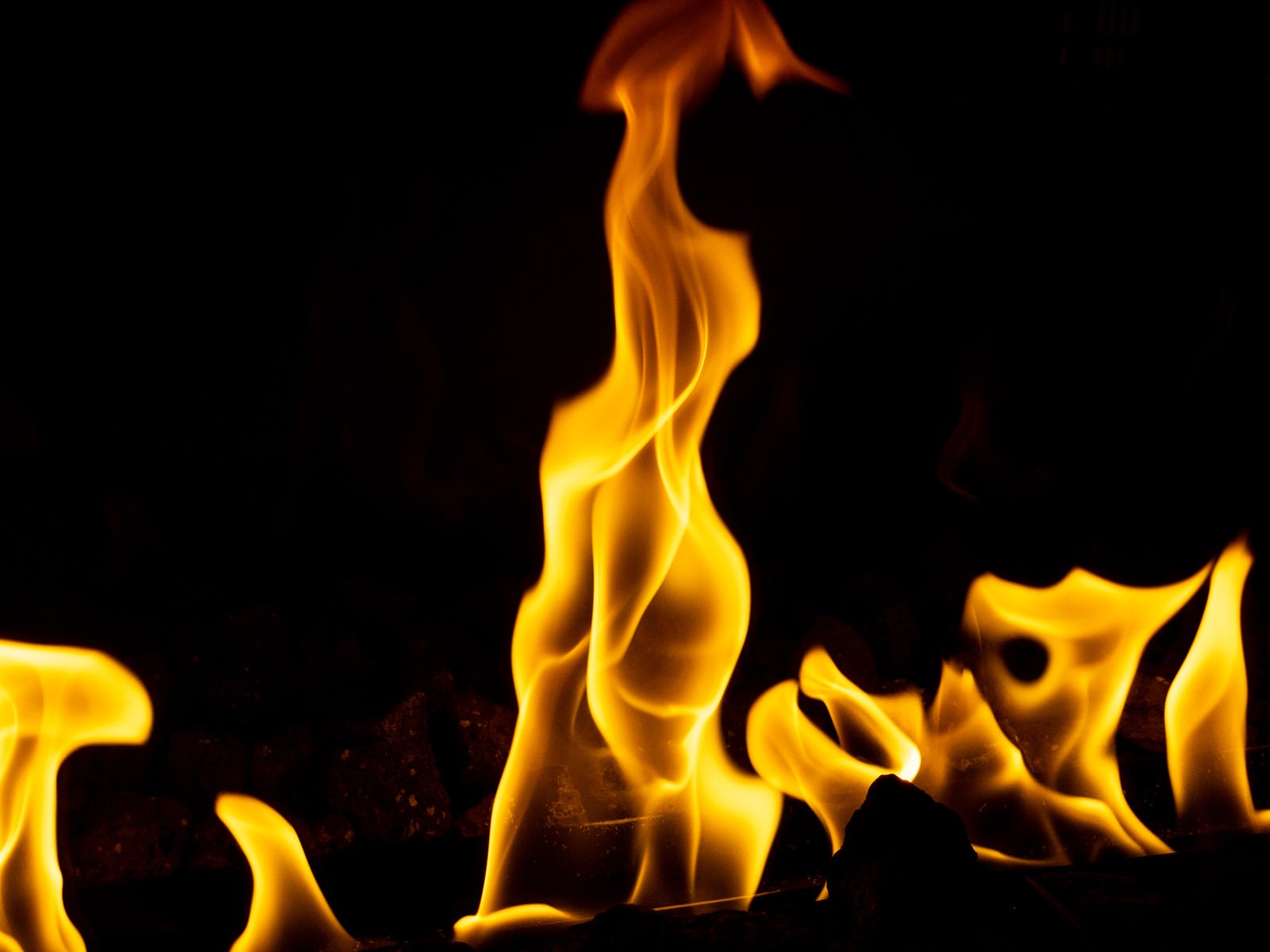 「立ち上がる炎」の写真