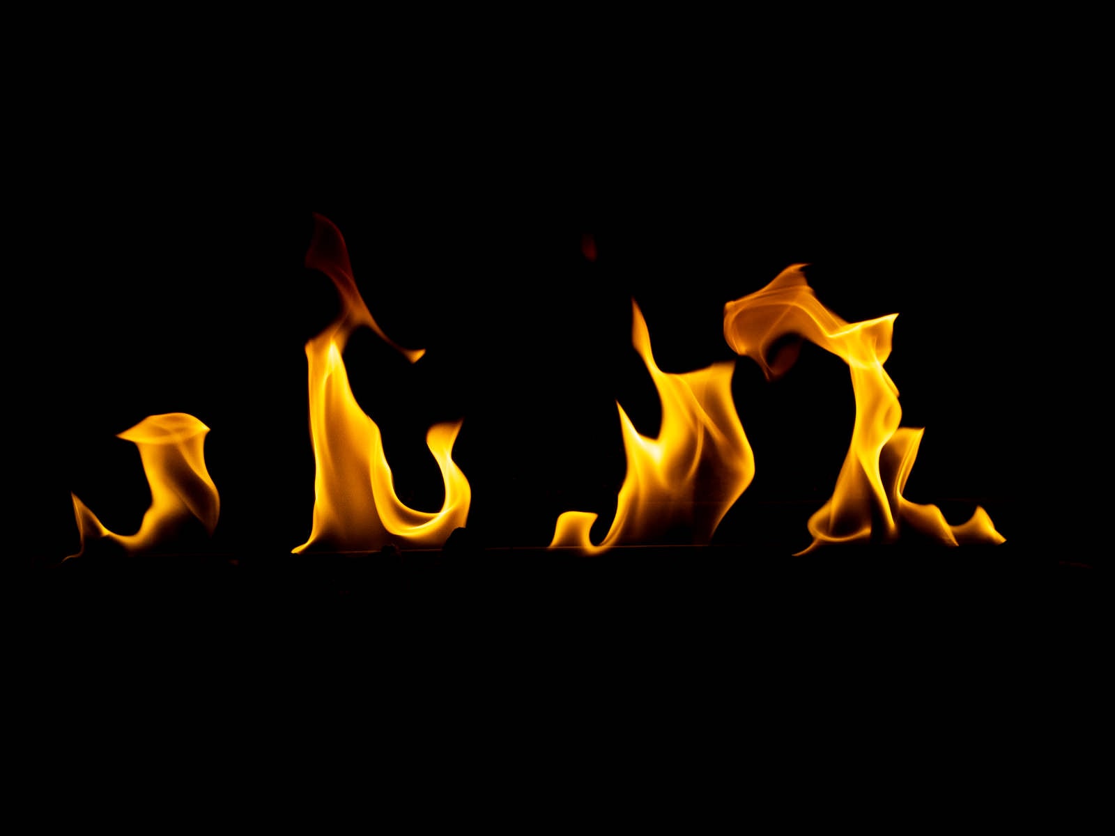 「燃える炎（ファイア）」の写真