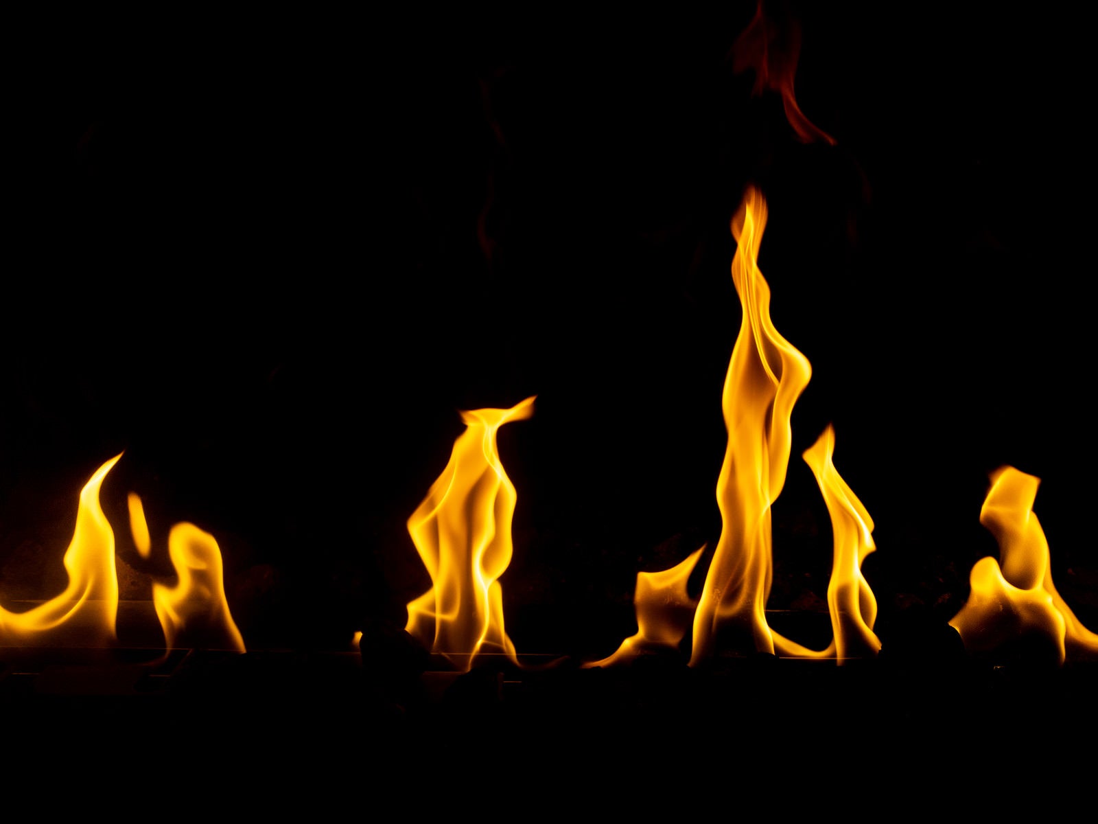 「メラメラ燃える」の写真