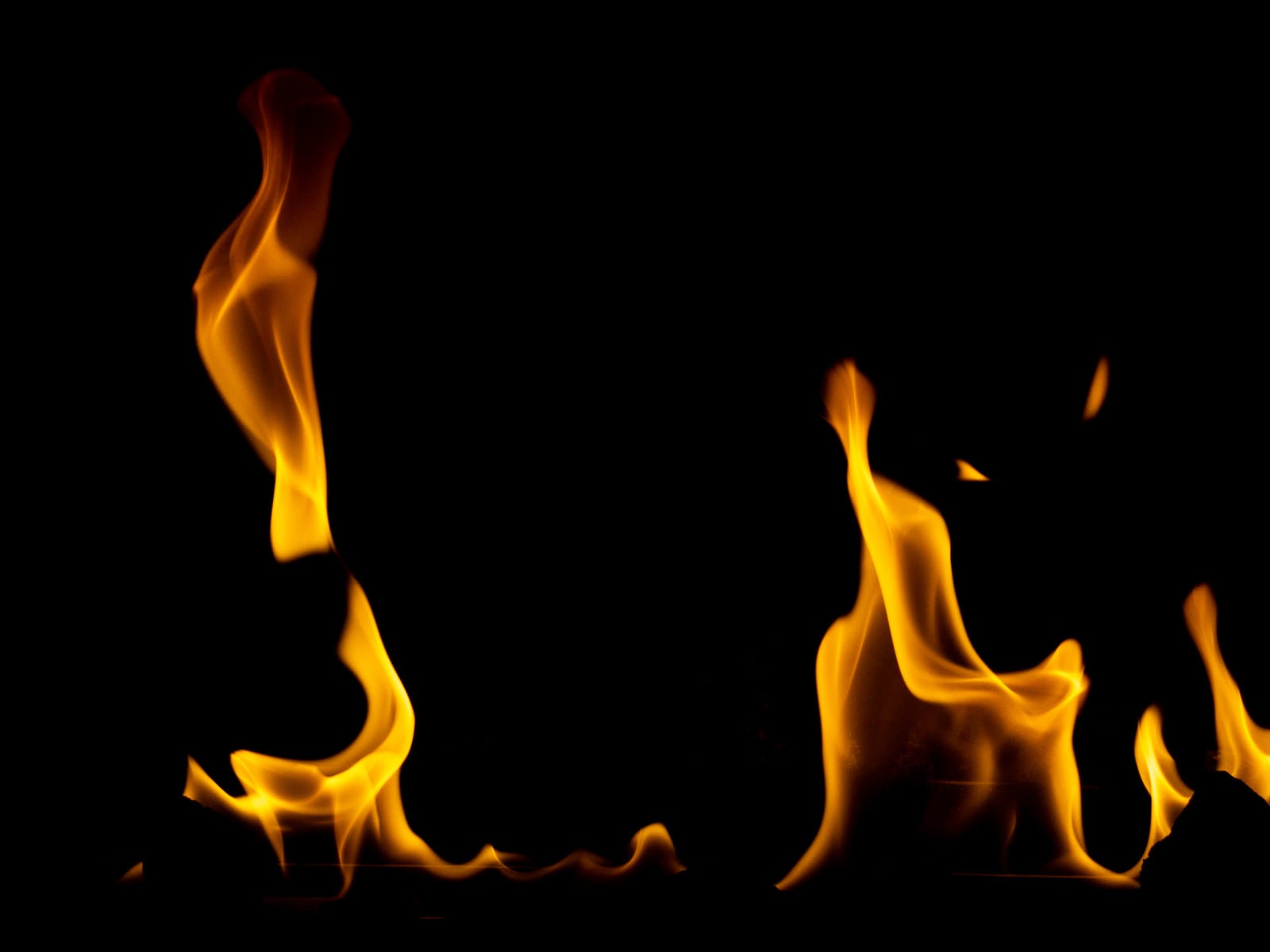 「ゆらりと燃える炎」の写真