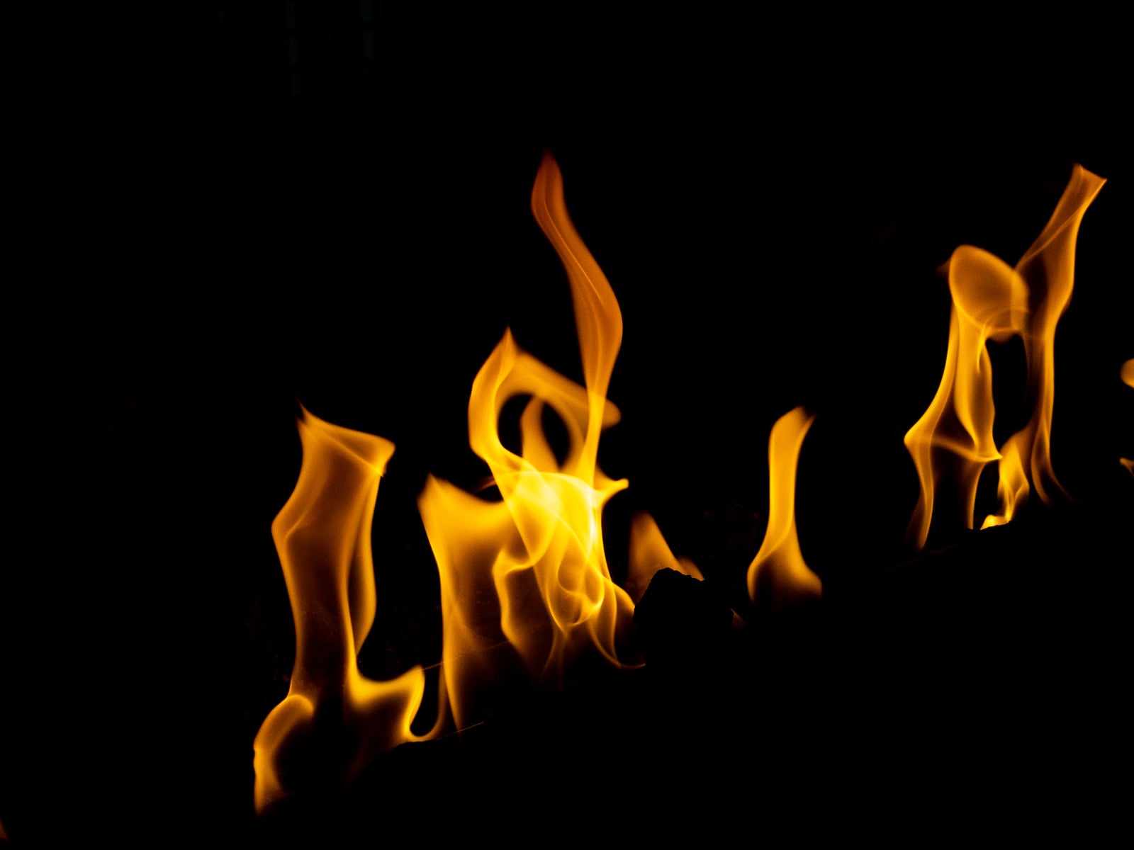 「燃えさかる炎の中」の写真