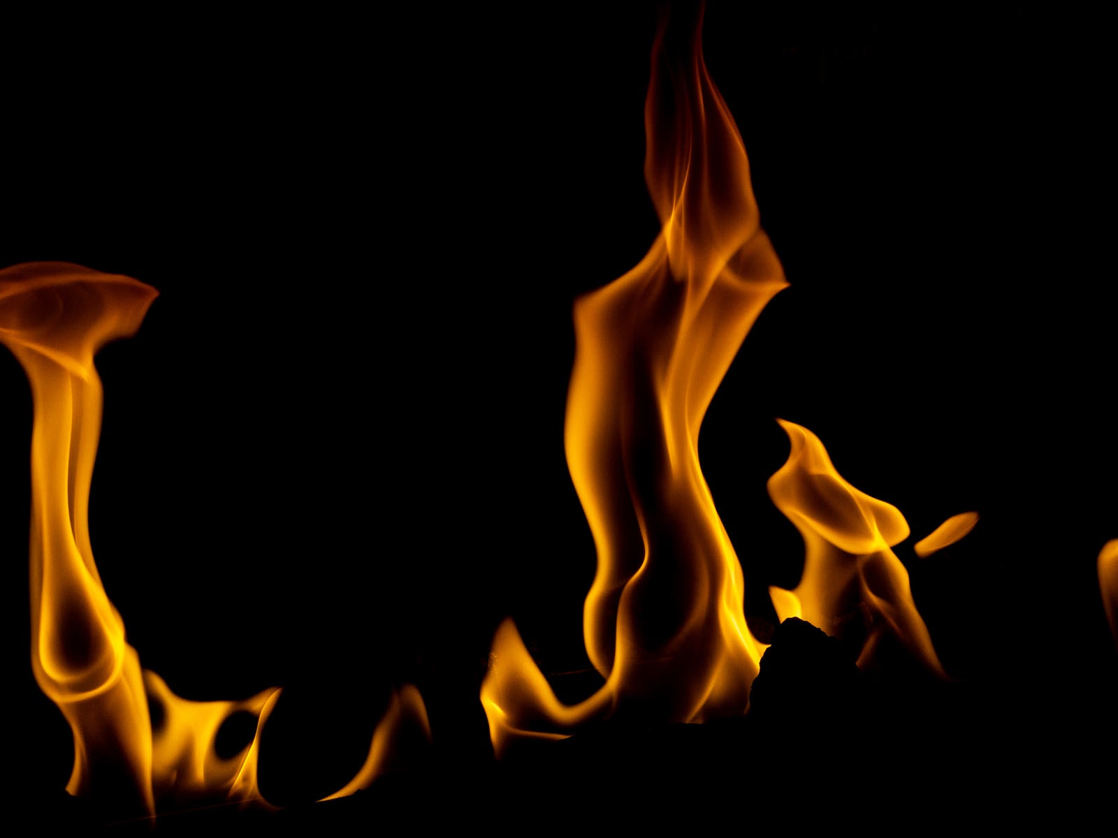 「メラメラと燃（も）える」の写真