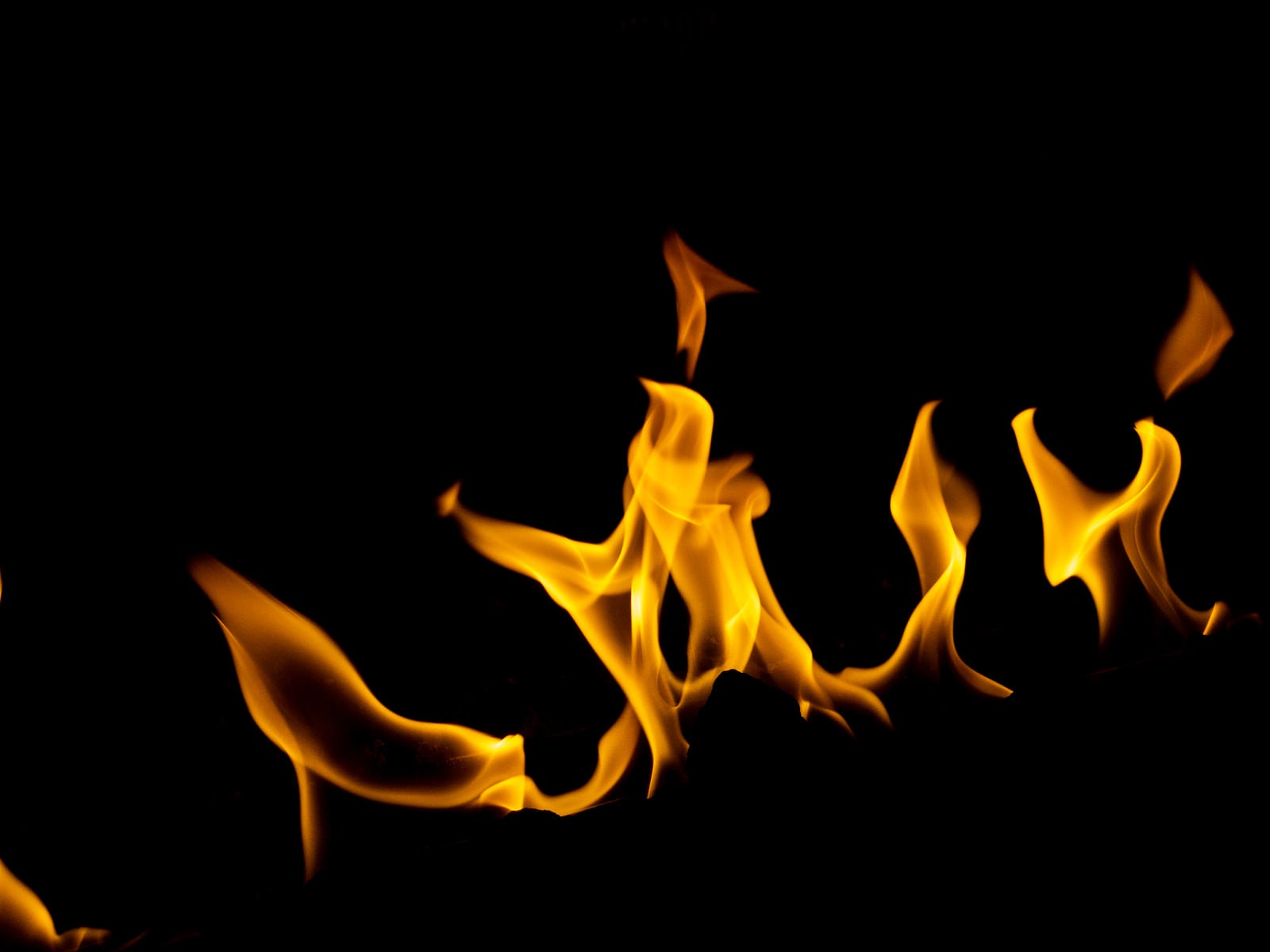 「燃え上がる炎」の写真