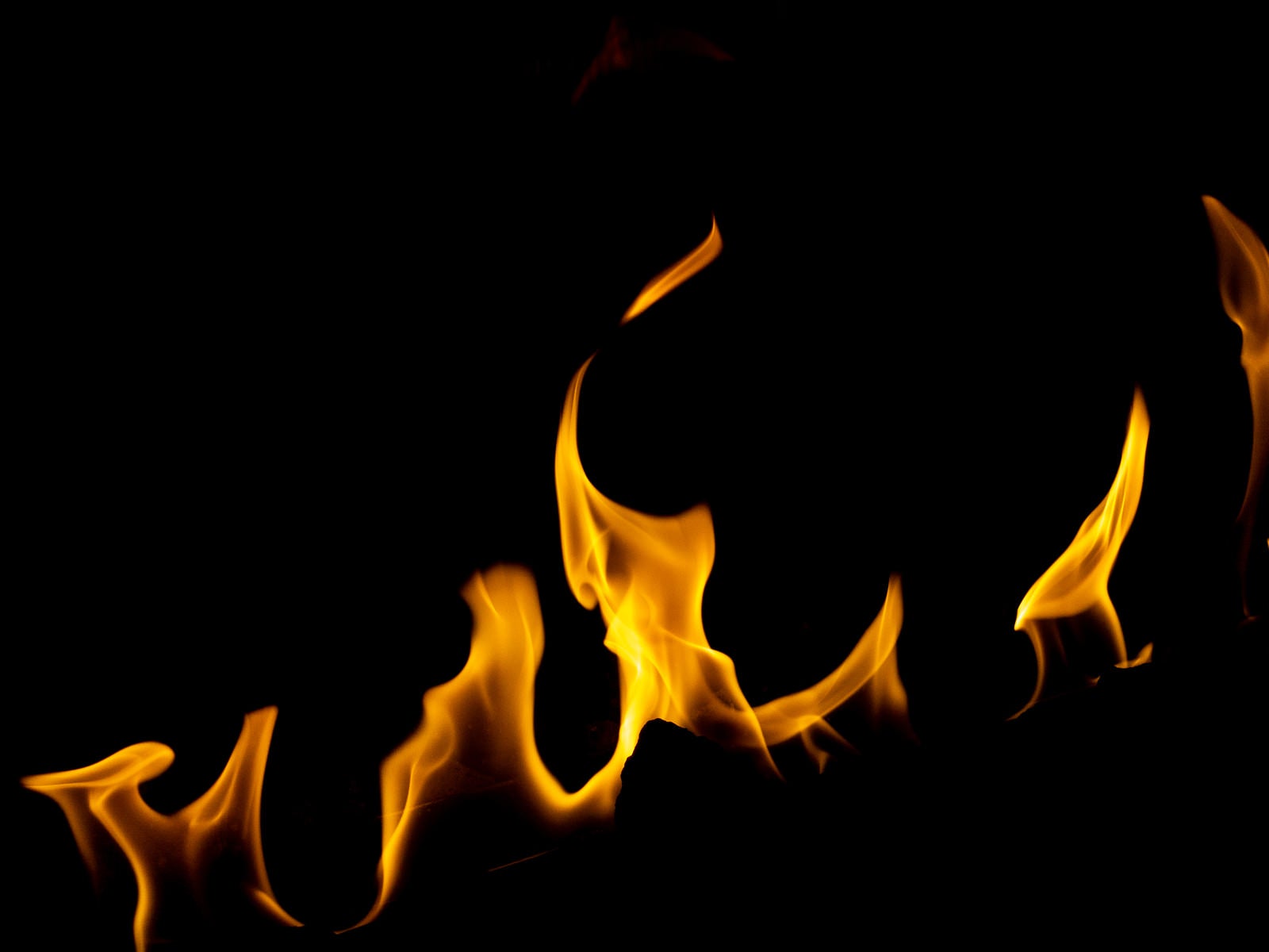 「弱めの火」の写真
