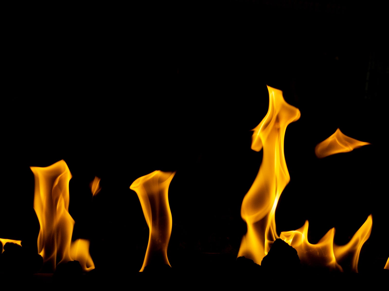 「燃焼」の写真