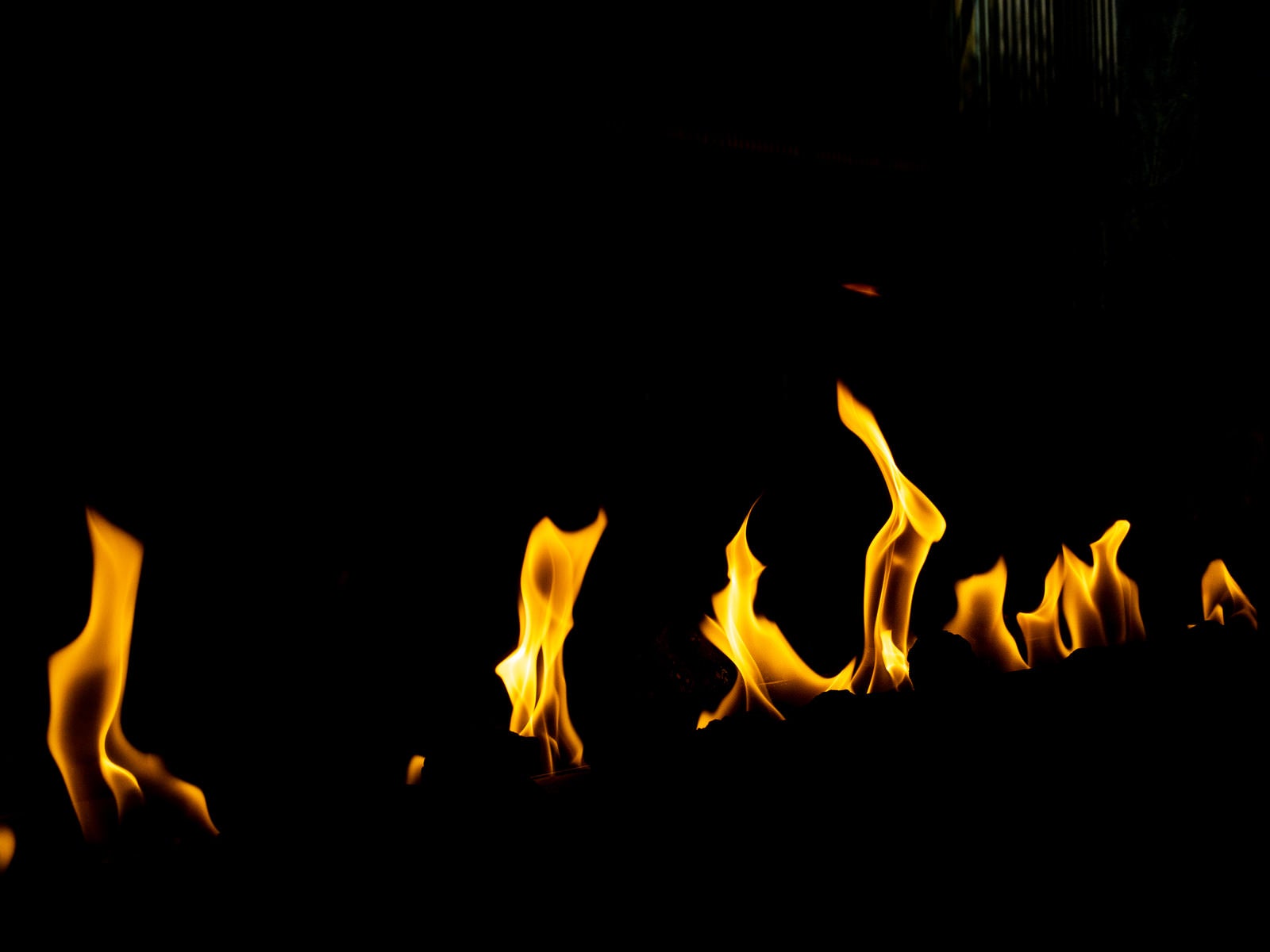 「炎火の炎」の写真