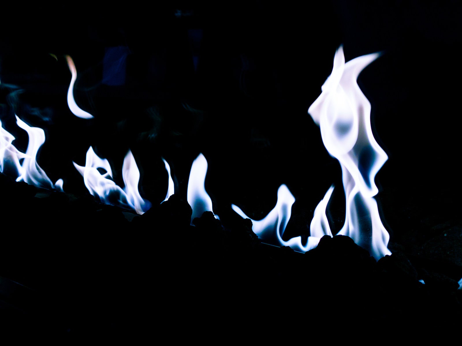 「青白い炎」の写真