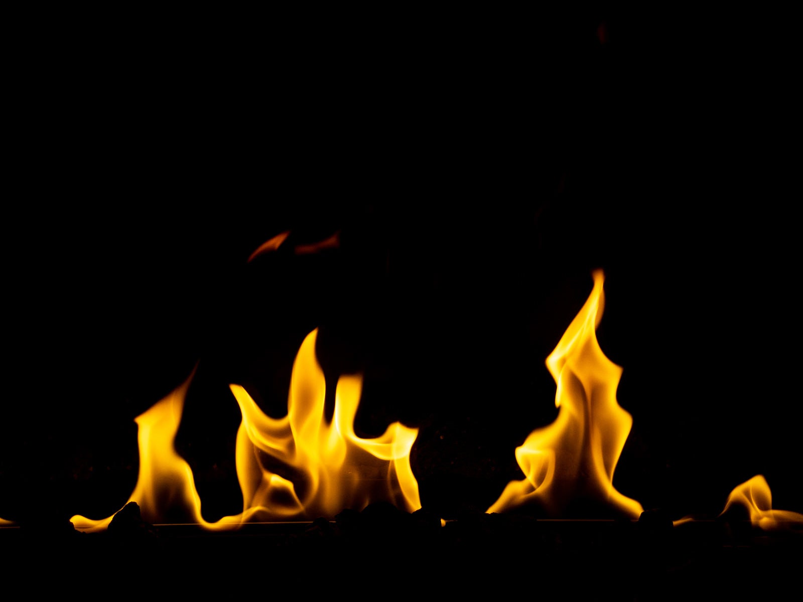 「燃え盛る火」の写真