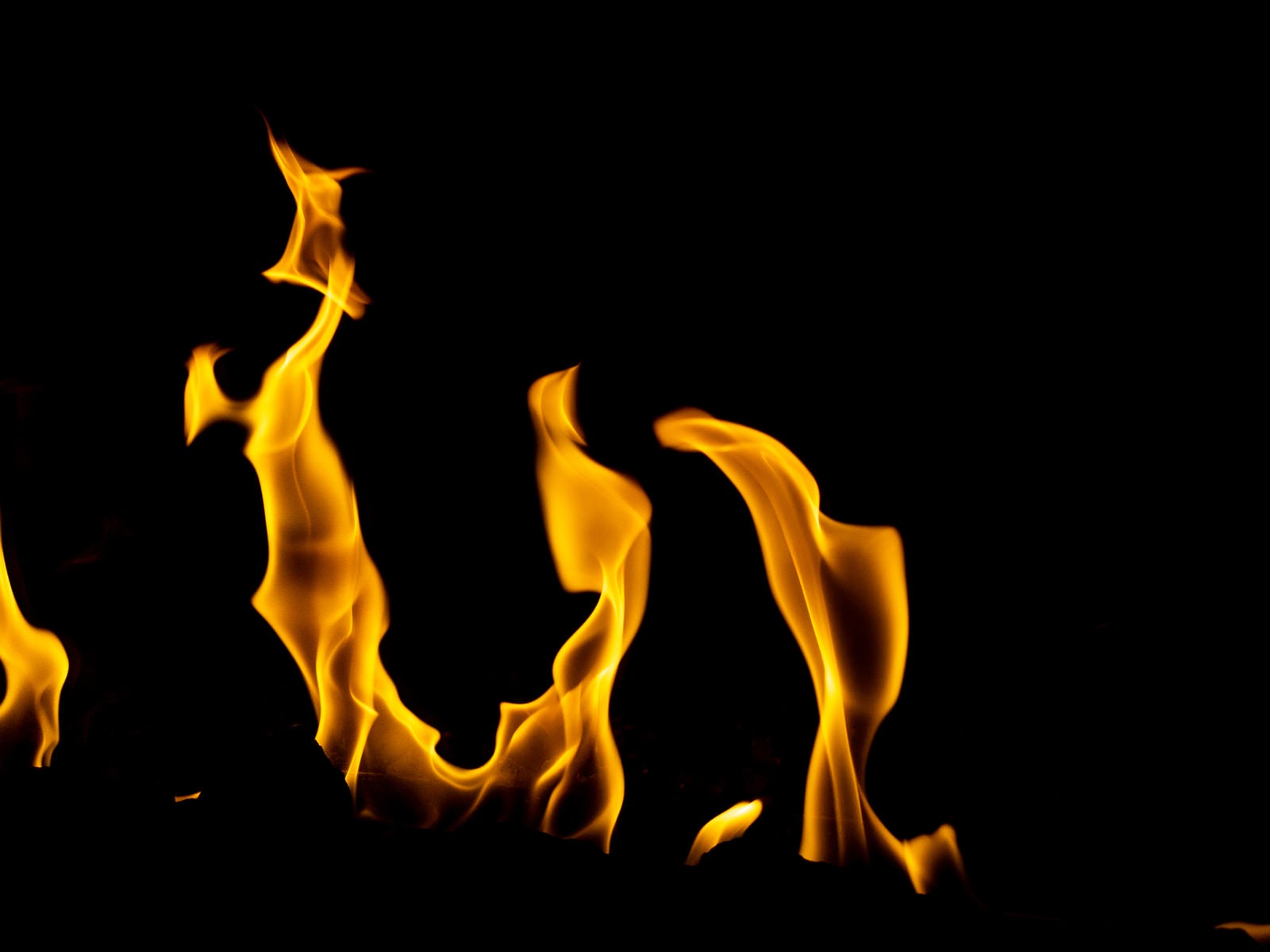 「燃えている炎の色」の写真