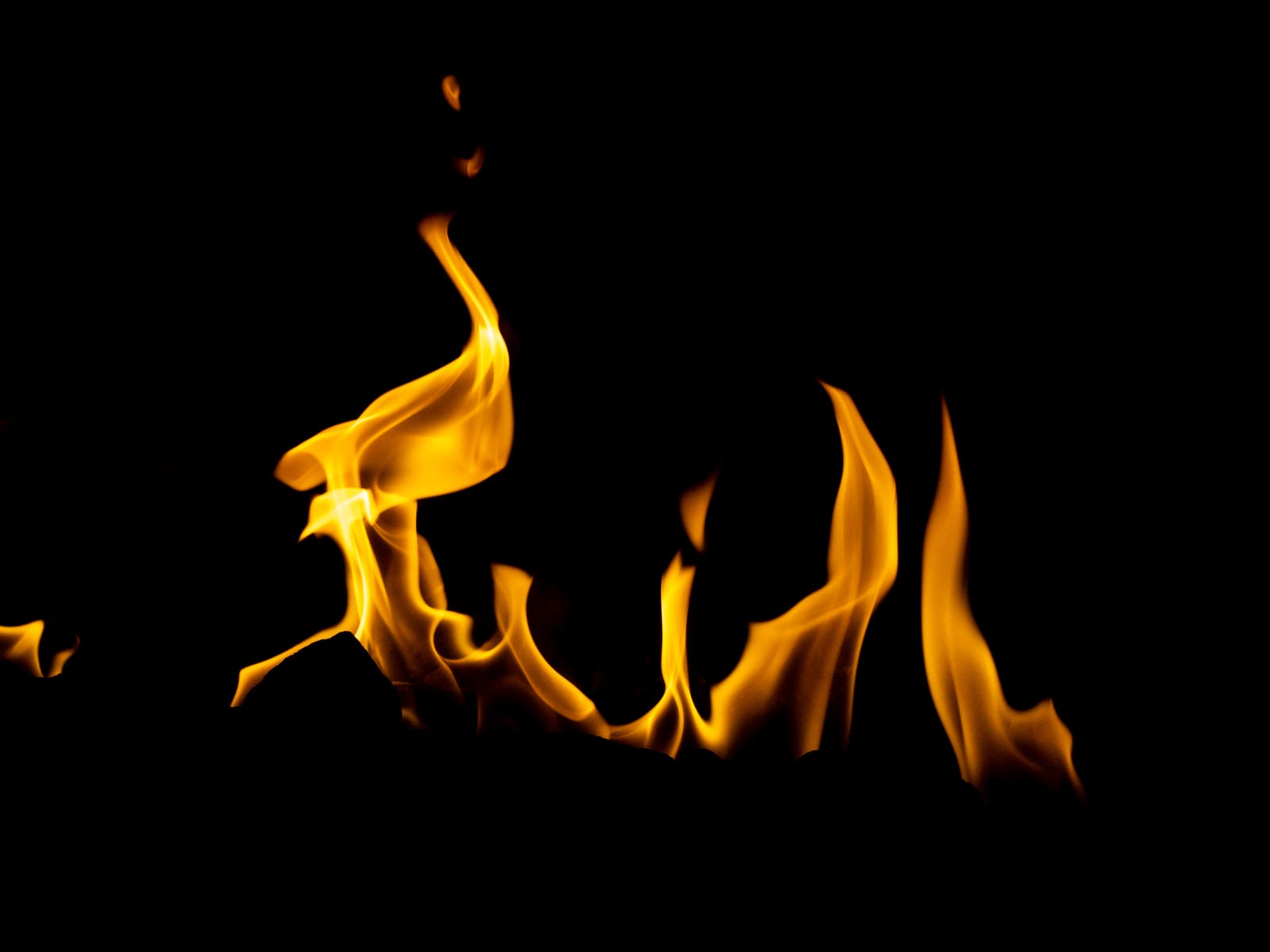 「メラメラと燃え続ける火」の写真