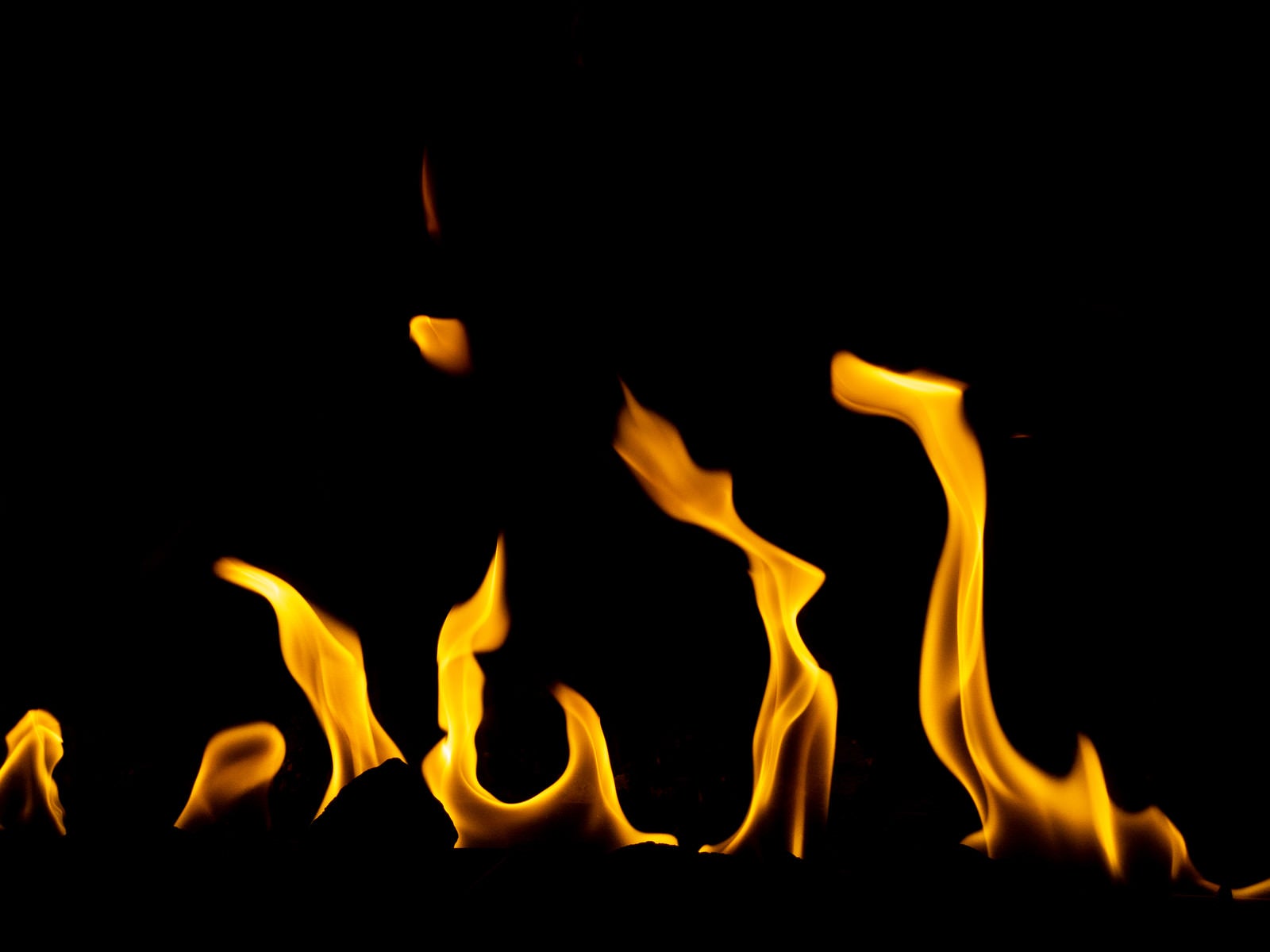 「メラメラ燃え続ける火」の写真