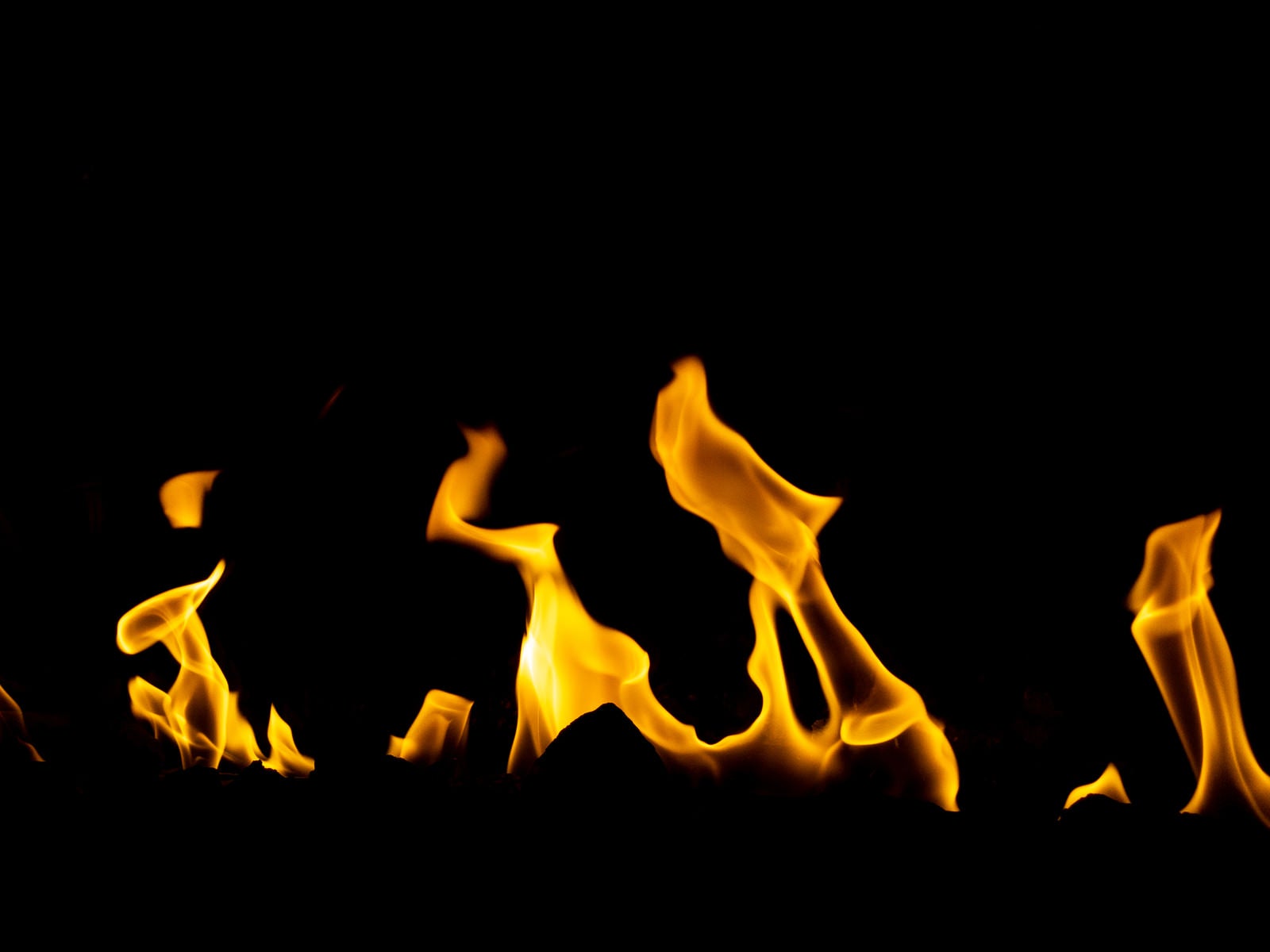 「火災」の写真