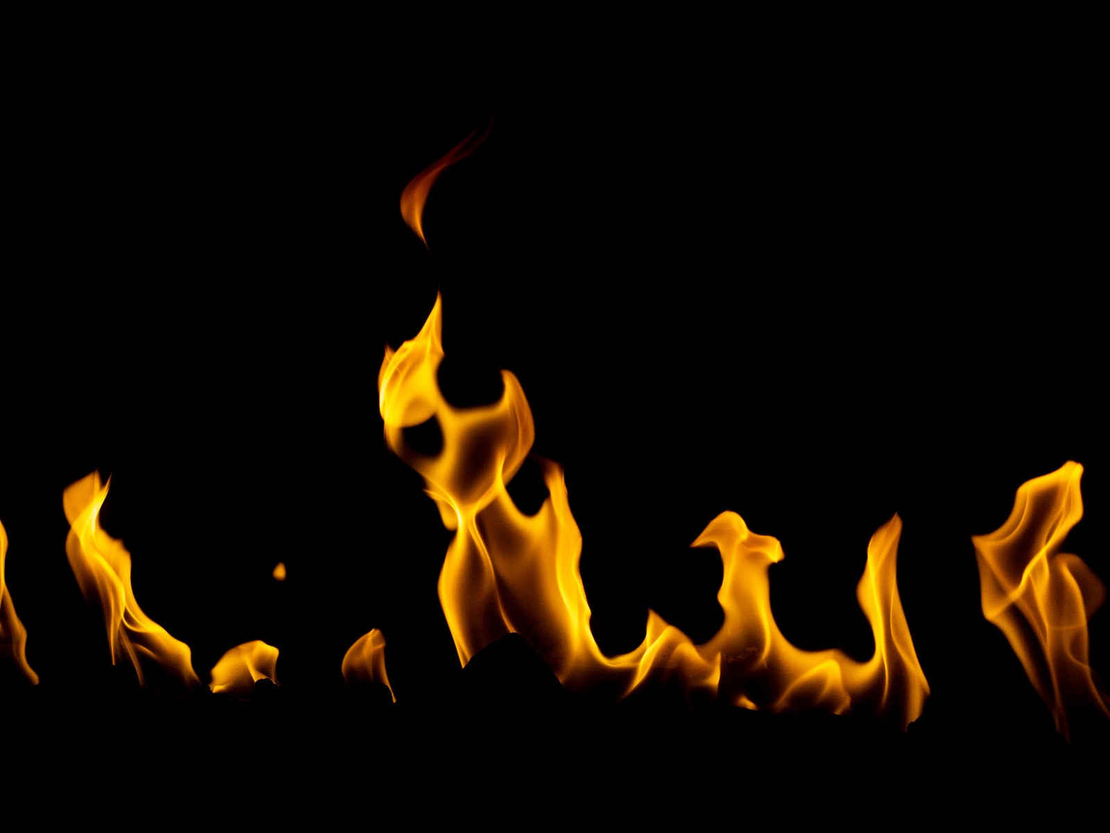 「ゆらゆらと燃える炎」の写真