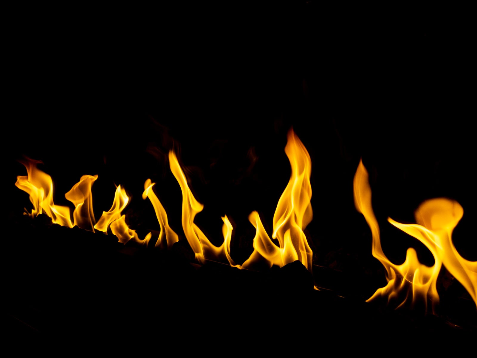 「メラメラと燃える炎」の写真