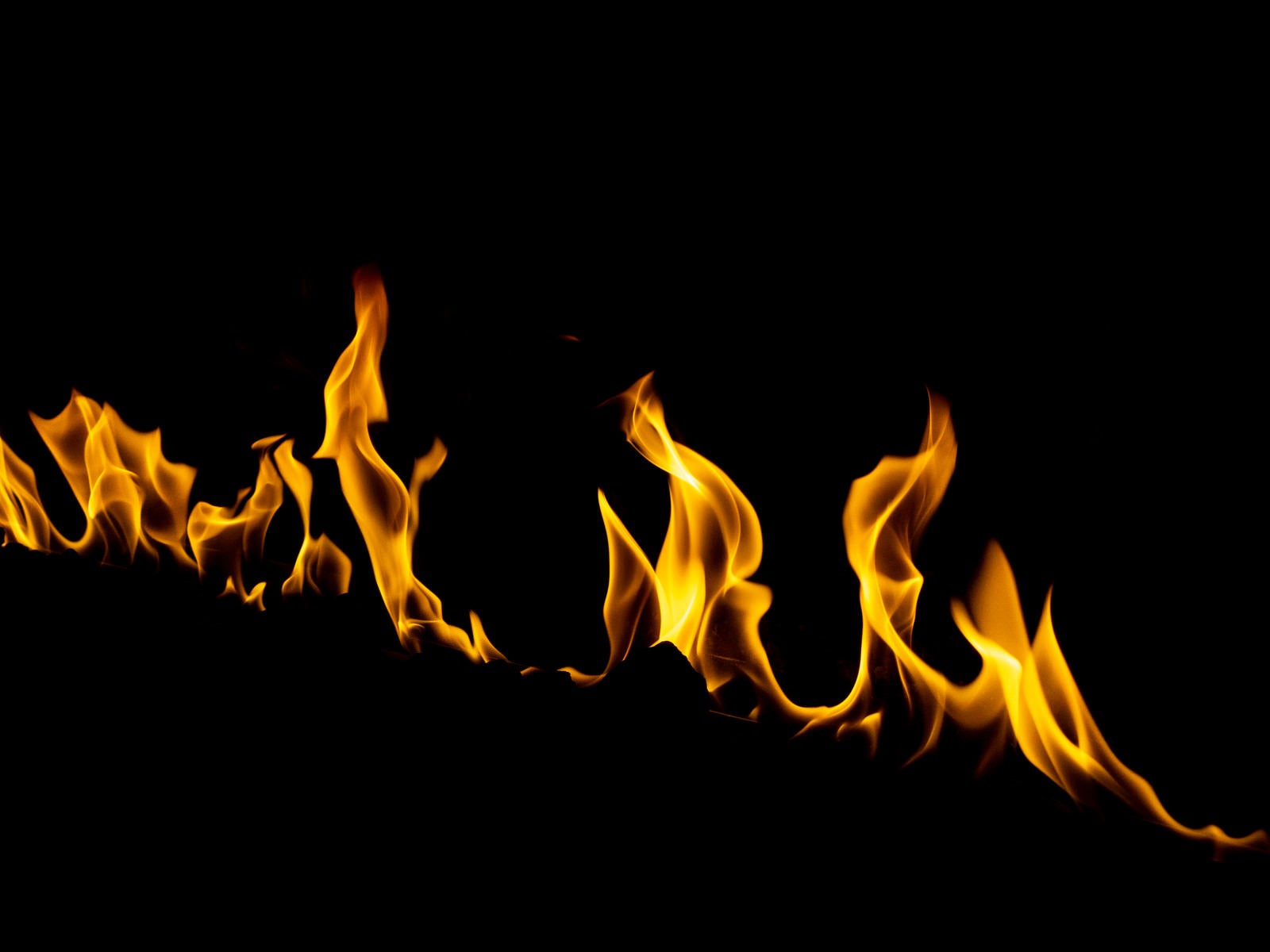 「ゴウゴウ燃える炎」の写真