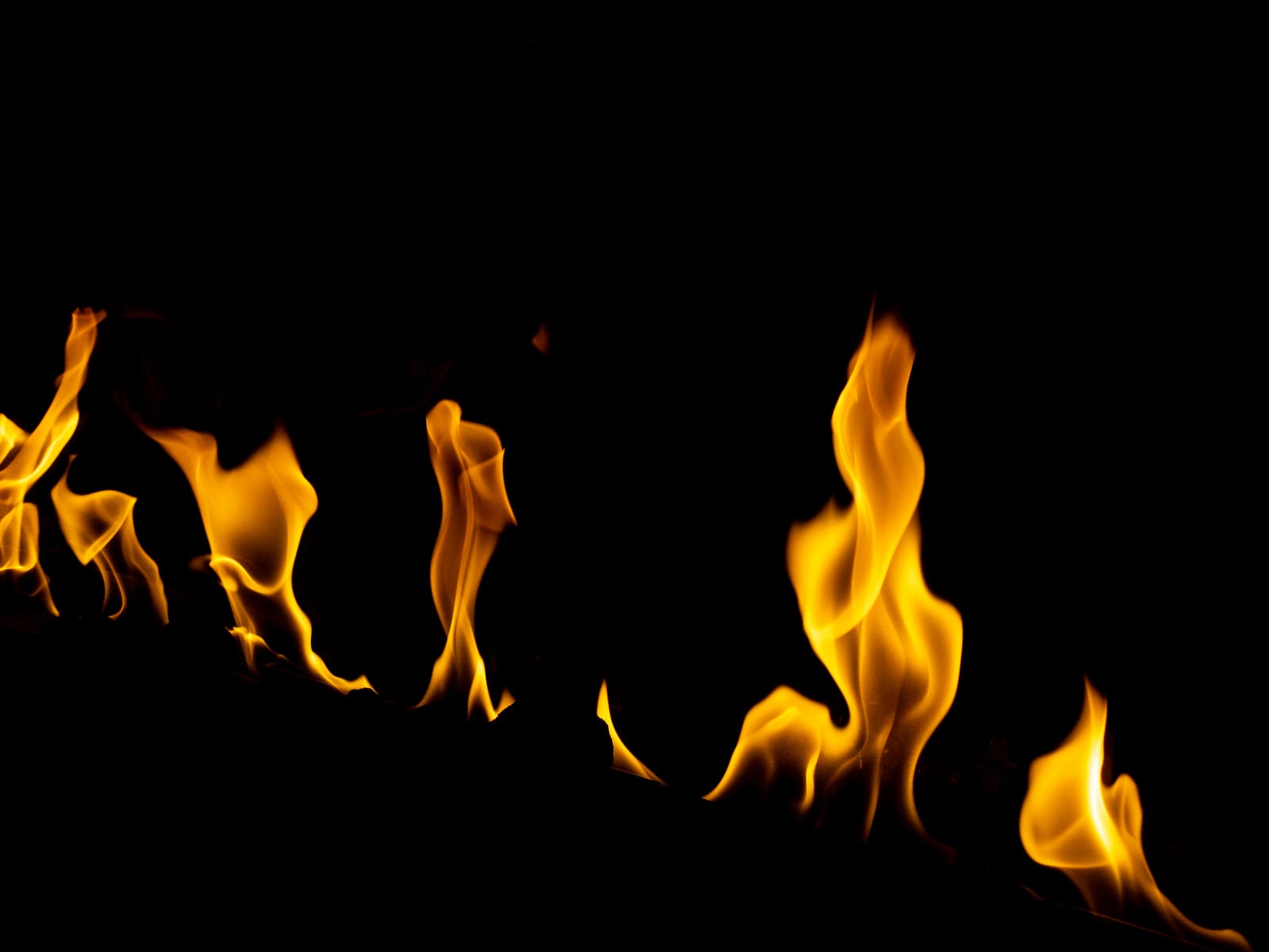 「メラメラの炎」の写真