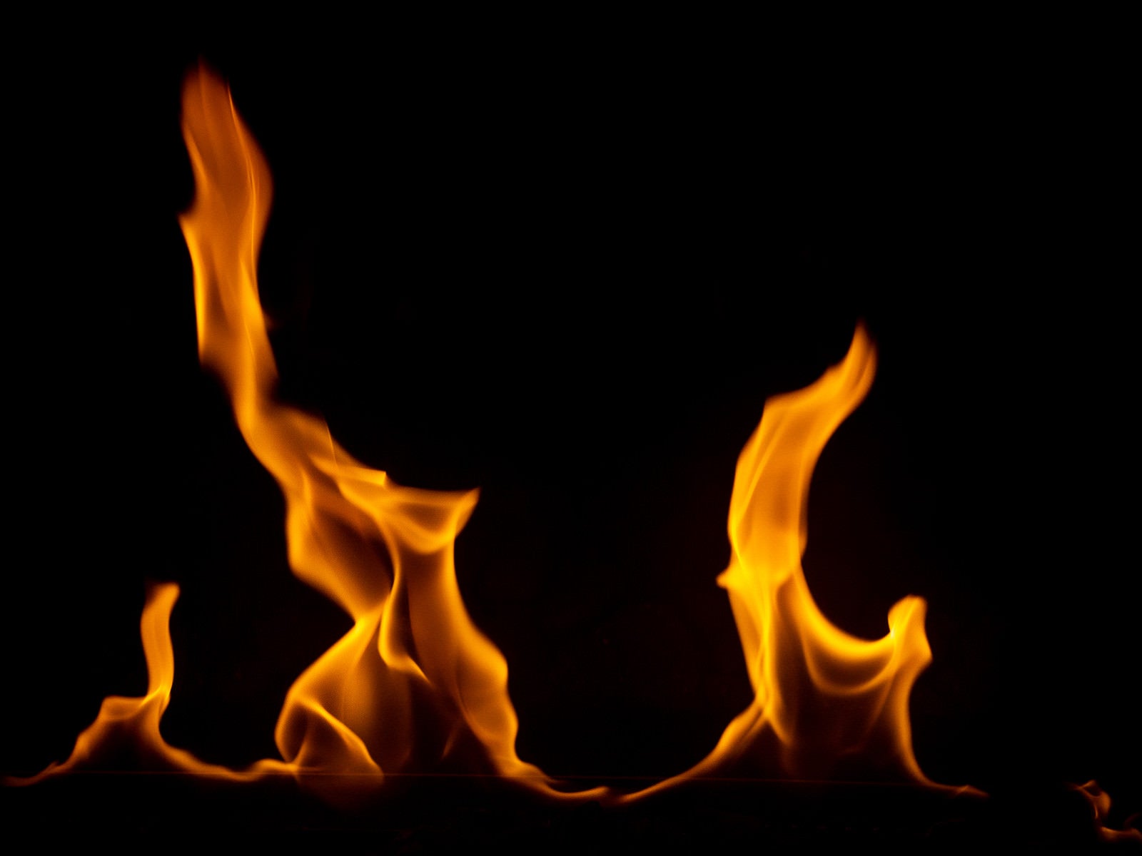 「燃え盛る炎」の写真