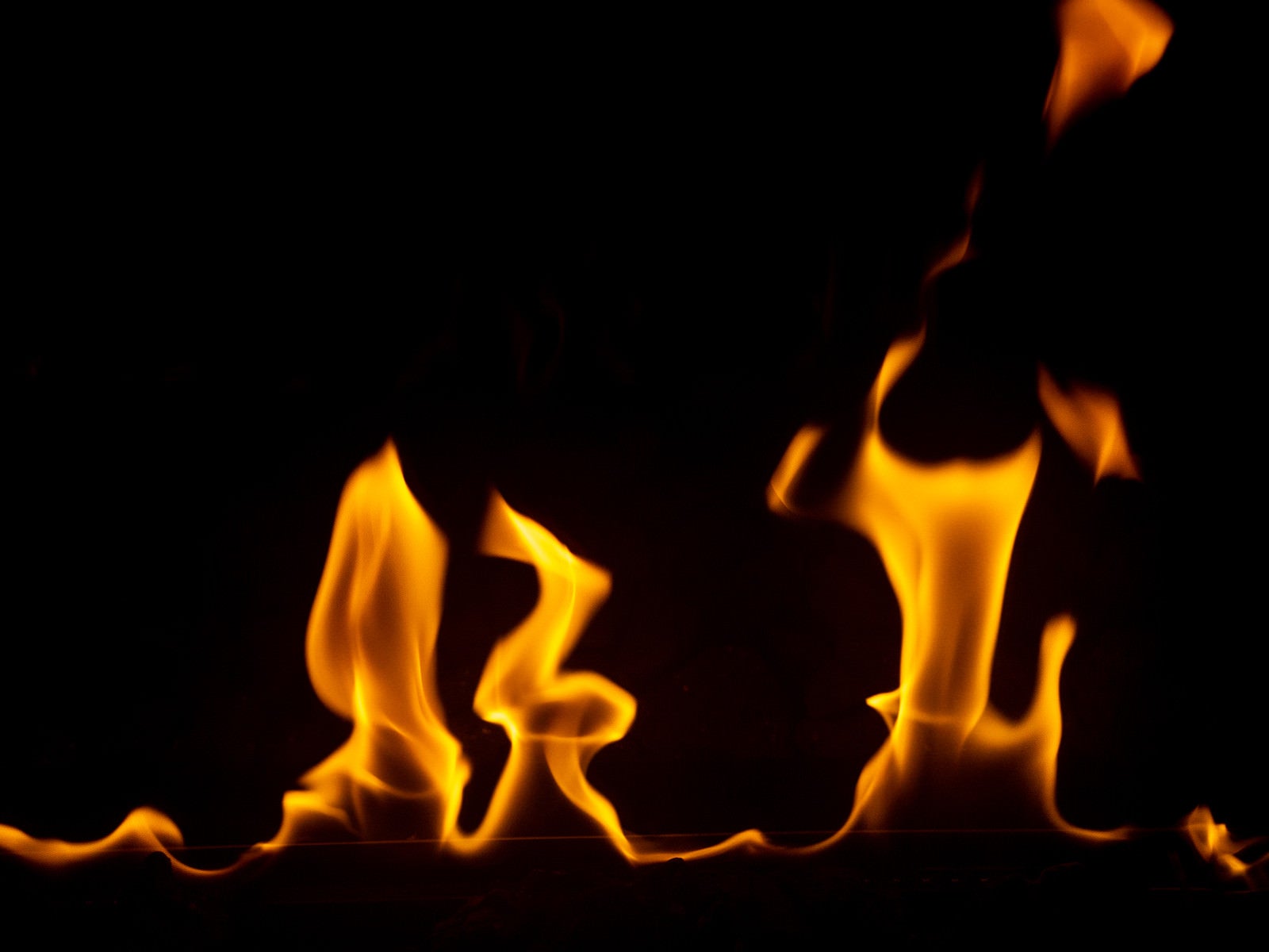「燃えたぎる炎」の写真