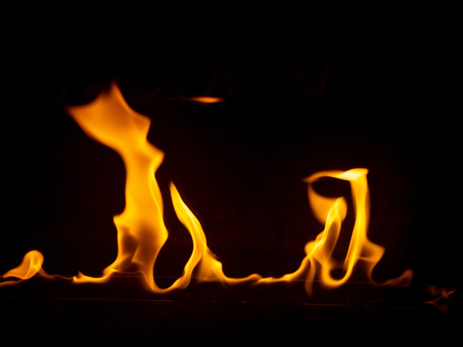 「力強く燃える炎」の写真
