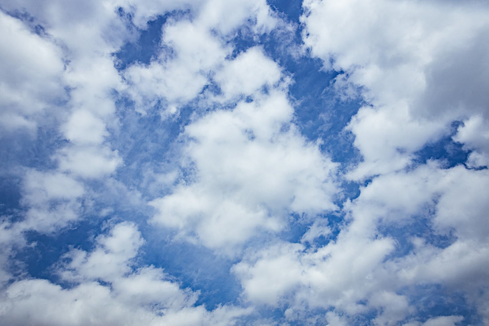 「ひつじ雲」の写真