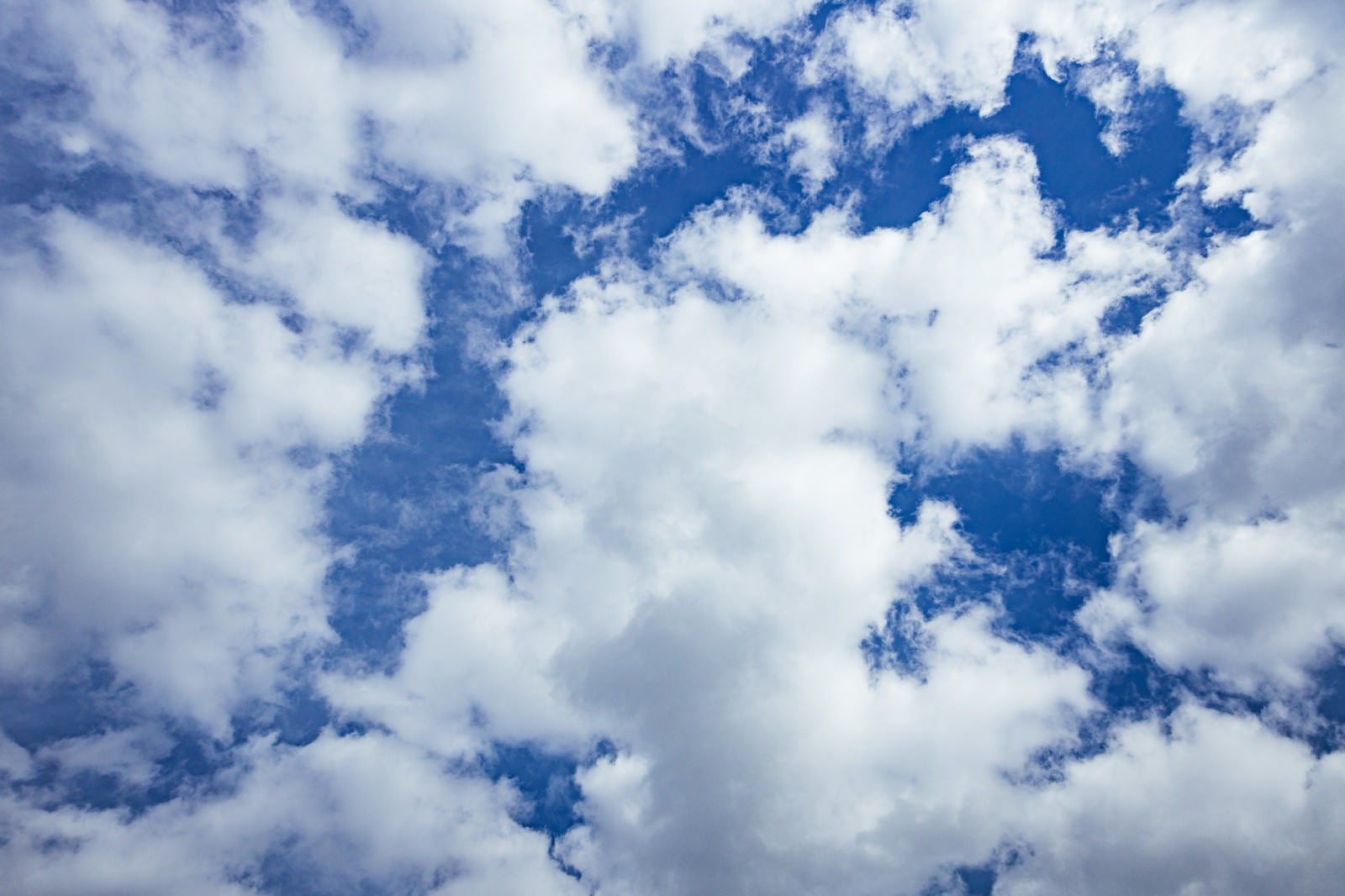 「浮かぶ綿雲」の写真