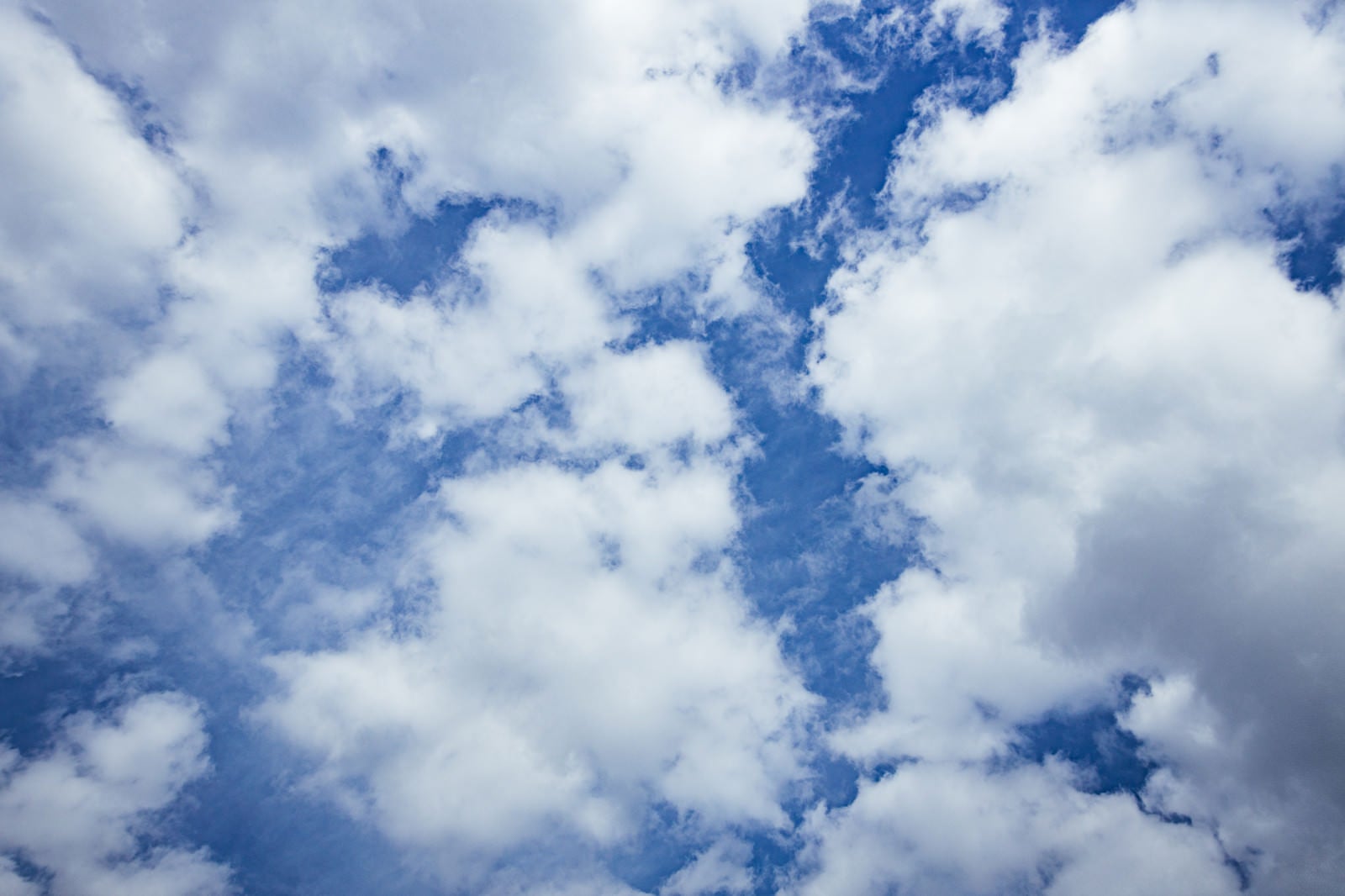 「フワフワの積雲」の写真