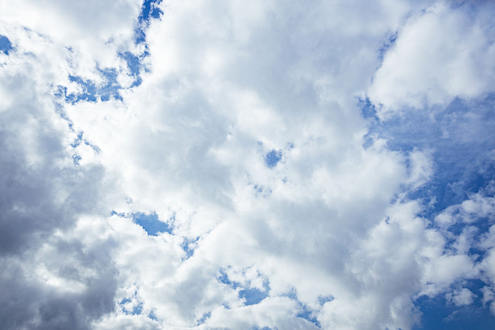 「青空を覆う積雲」の写真