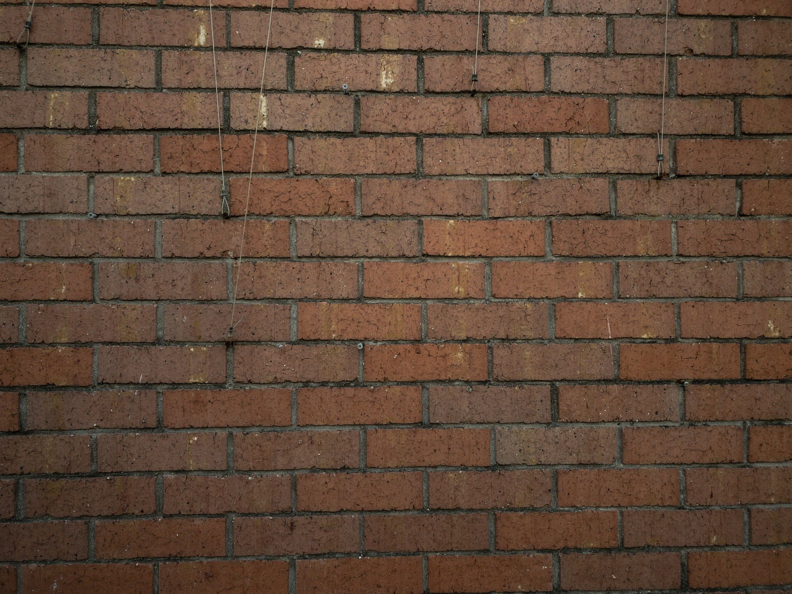 「レンガブロックの壁」の写真