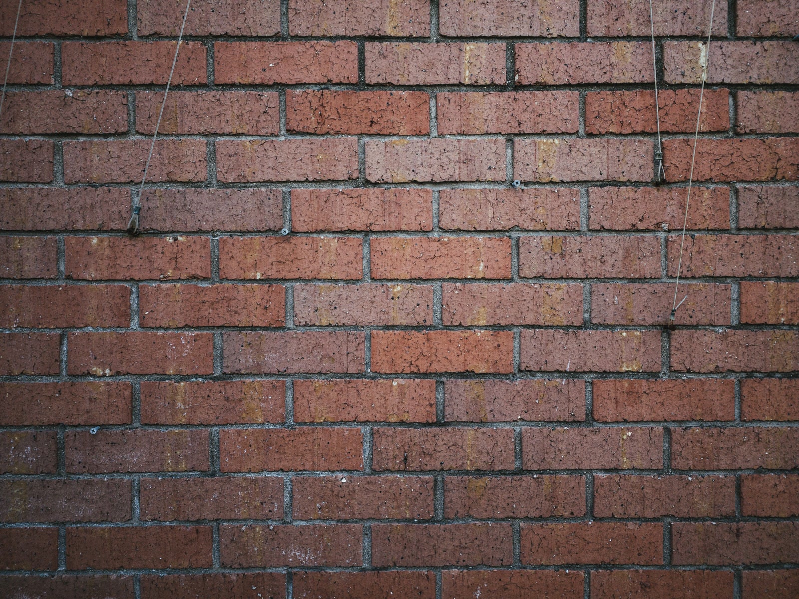 「赤茶色のレンガの壁（テクスチャー）」の写真