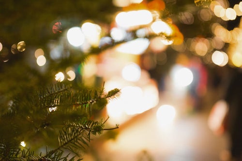 クリスマスツリーと光るライトの写真