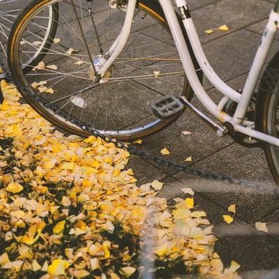 放置自転車と銀杏の葉の写真